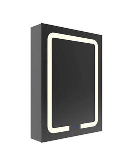 পাতলা পাতলা কাঠ মিরর ক্যাবিনেট GGMC37